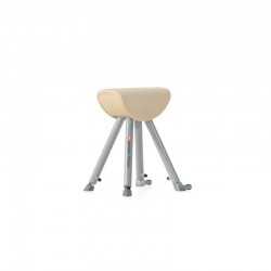 Potro Gimnástico Pequeño...